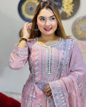 Luxary Chiffone Party Dress For Eid Collection HSP370PNK
